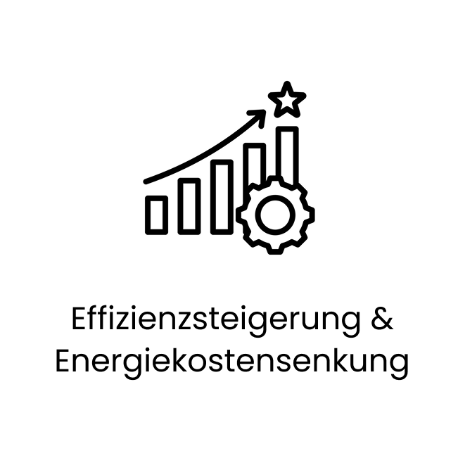Effizienzsteigerung & Energiekostensenkung Effizienzsteigerung & Energiekostensenkung