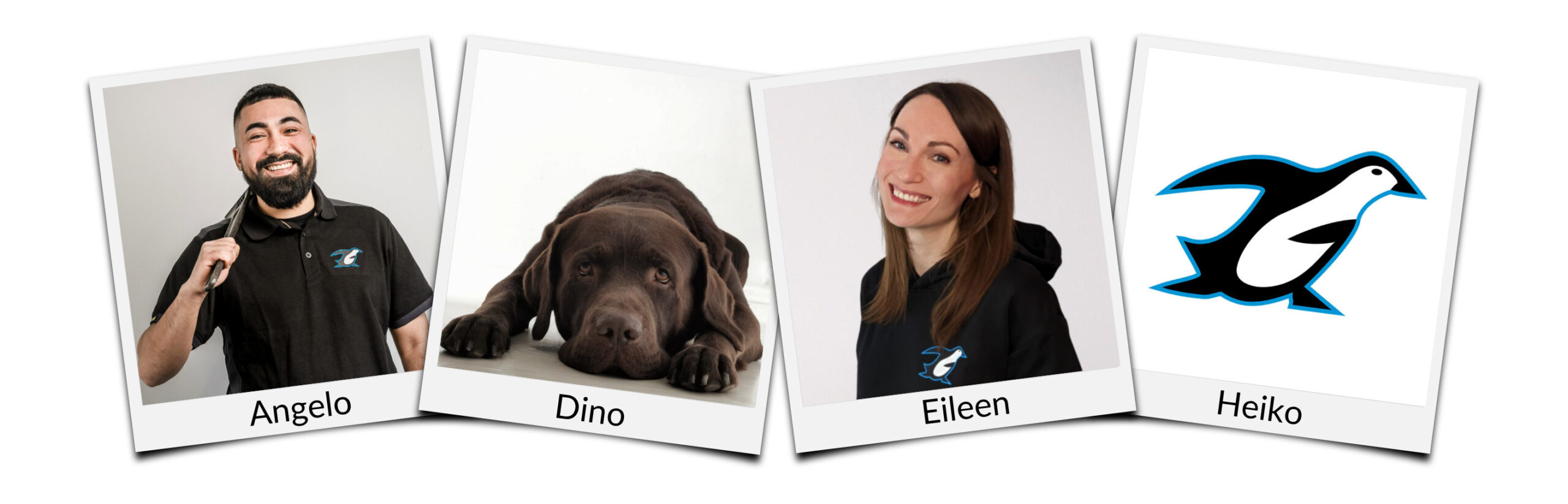 Unser Team im Büro