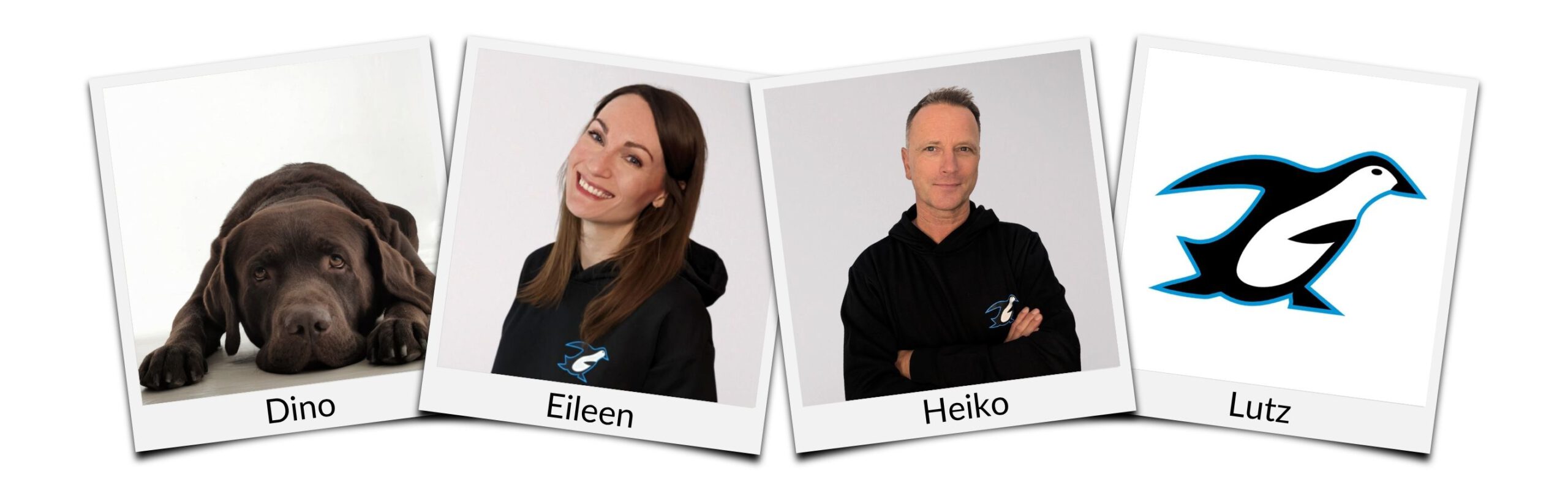 das-team-aus-buerofachkraeften-fuer-kaelte-und-klimatechnik-der-kaeltehelden-hamburg-1-1536x494-1-1536x494 Unser Team im Büro: Dino, Eileen, Heiko und Lutz