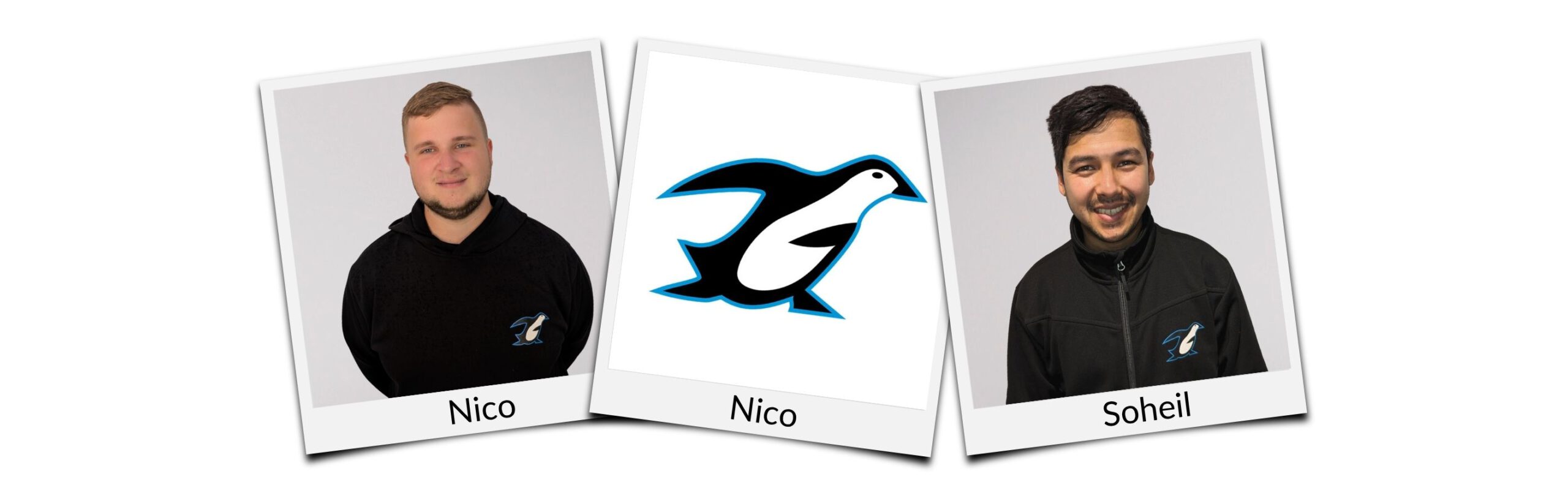 Unsere Mitarbeiter Nico, Nico und Soheil